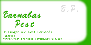barnabas pest business card